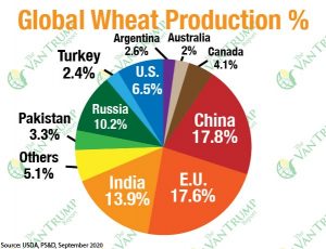 Global Wheat Production-min
